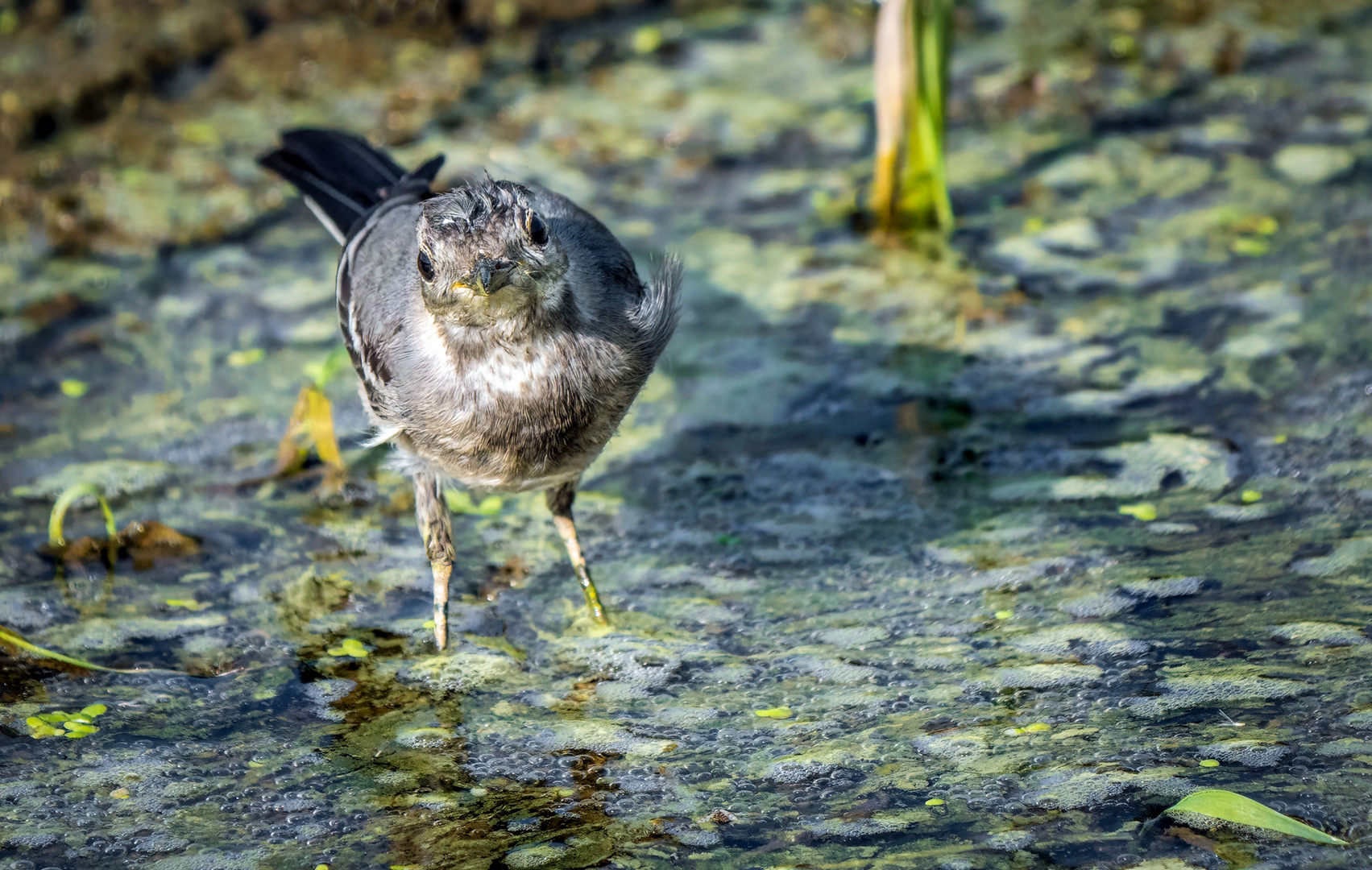 "Uiiii, wer guckt mich denn da an"