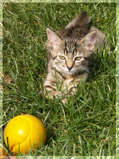 Ui,ist der Ball groß!