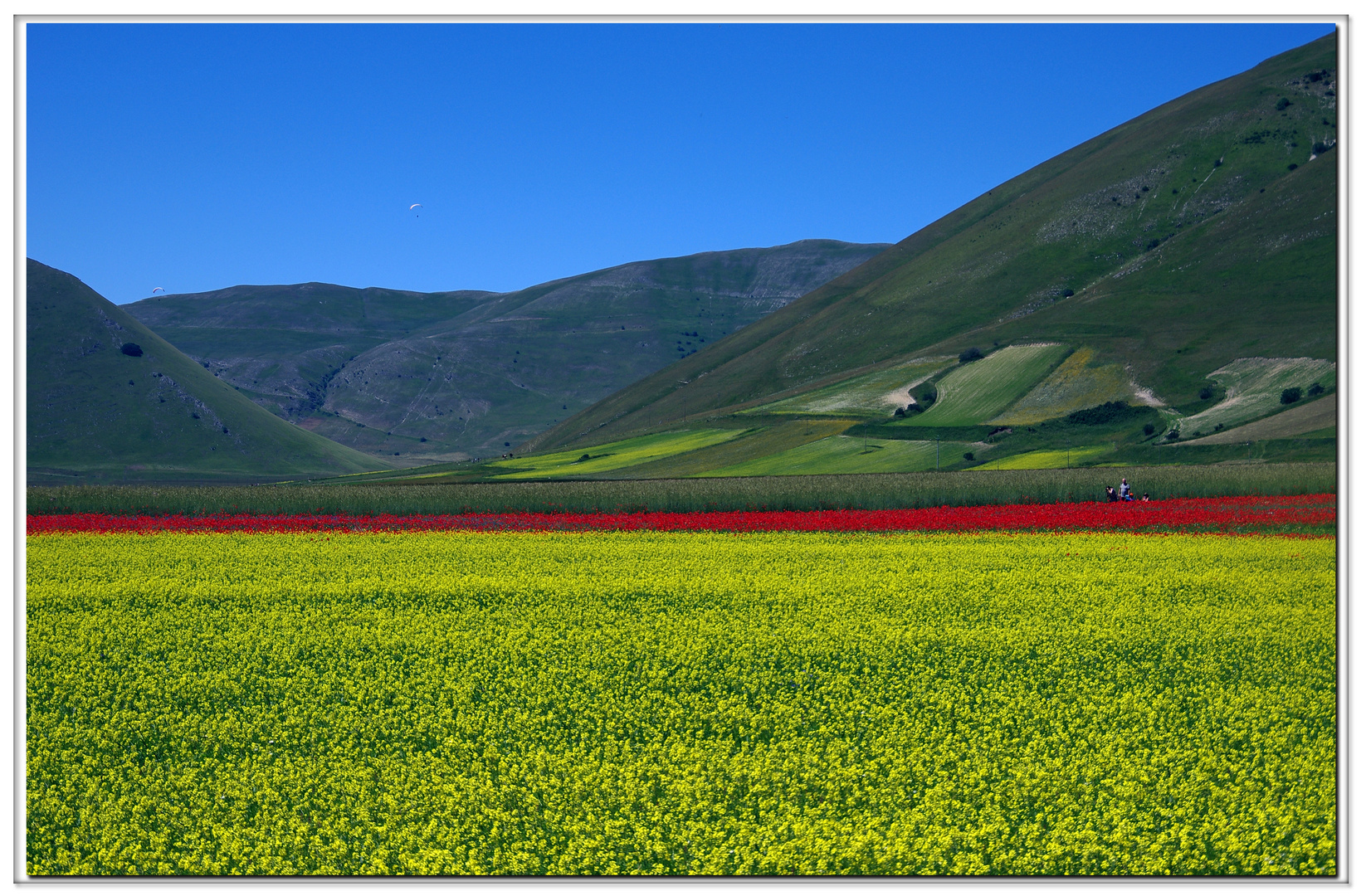 ujuc jaune , vert  rouge , bleu....