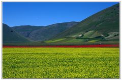 ujuc jaune , vert  rouge , bleu....