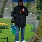 User Profile Photo