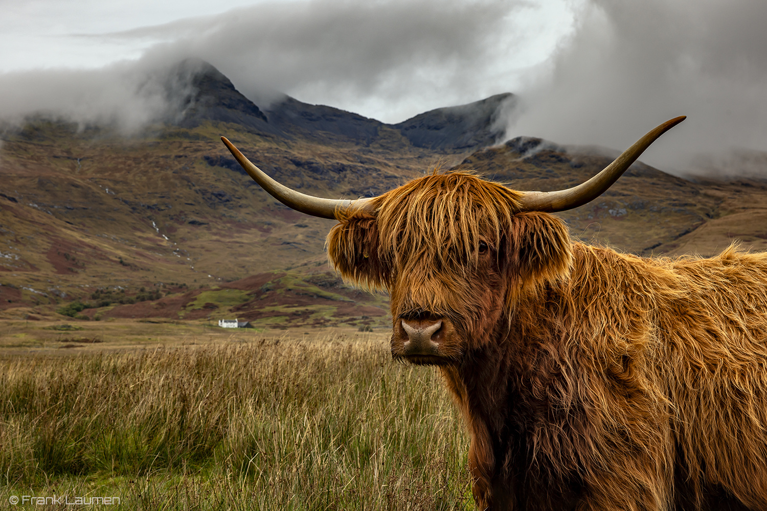 UK, Schottland, Isle of Mull