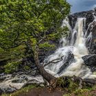 UK, Schottland, Isle of Mull