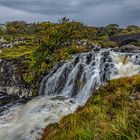 UK, Schottland, Isle of Mull