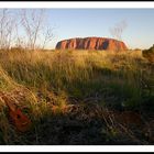 Uke Down Under - März