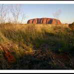 Uke Down Under - März