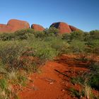 Uke Down Under - September