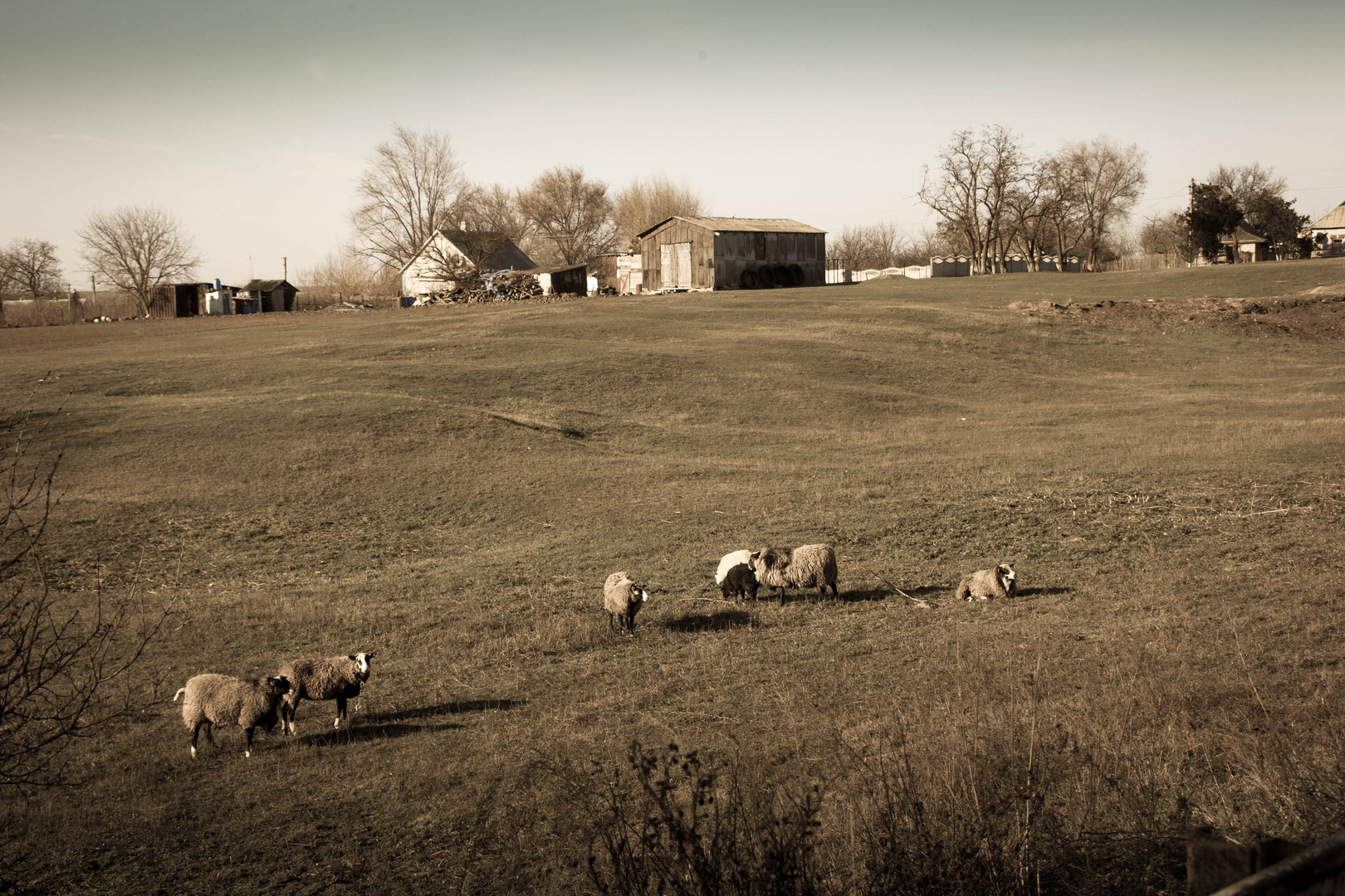 Ukraine countryside