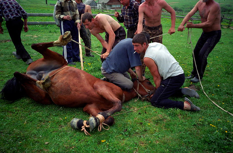 Ukraine - hors castration