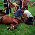 Ukraine - hors castration