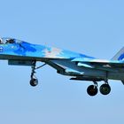 Ukrainian Air Force  Su-27 Flanker