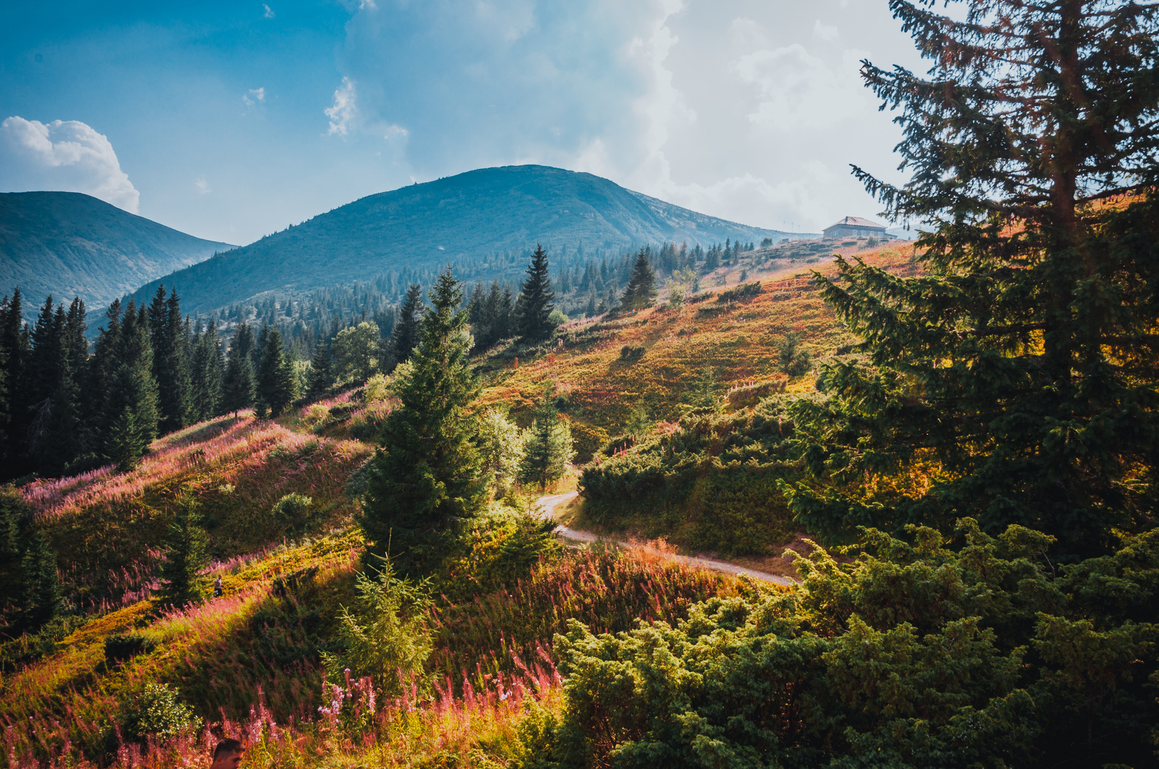 Ukrainian Carpathians