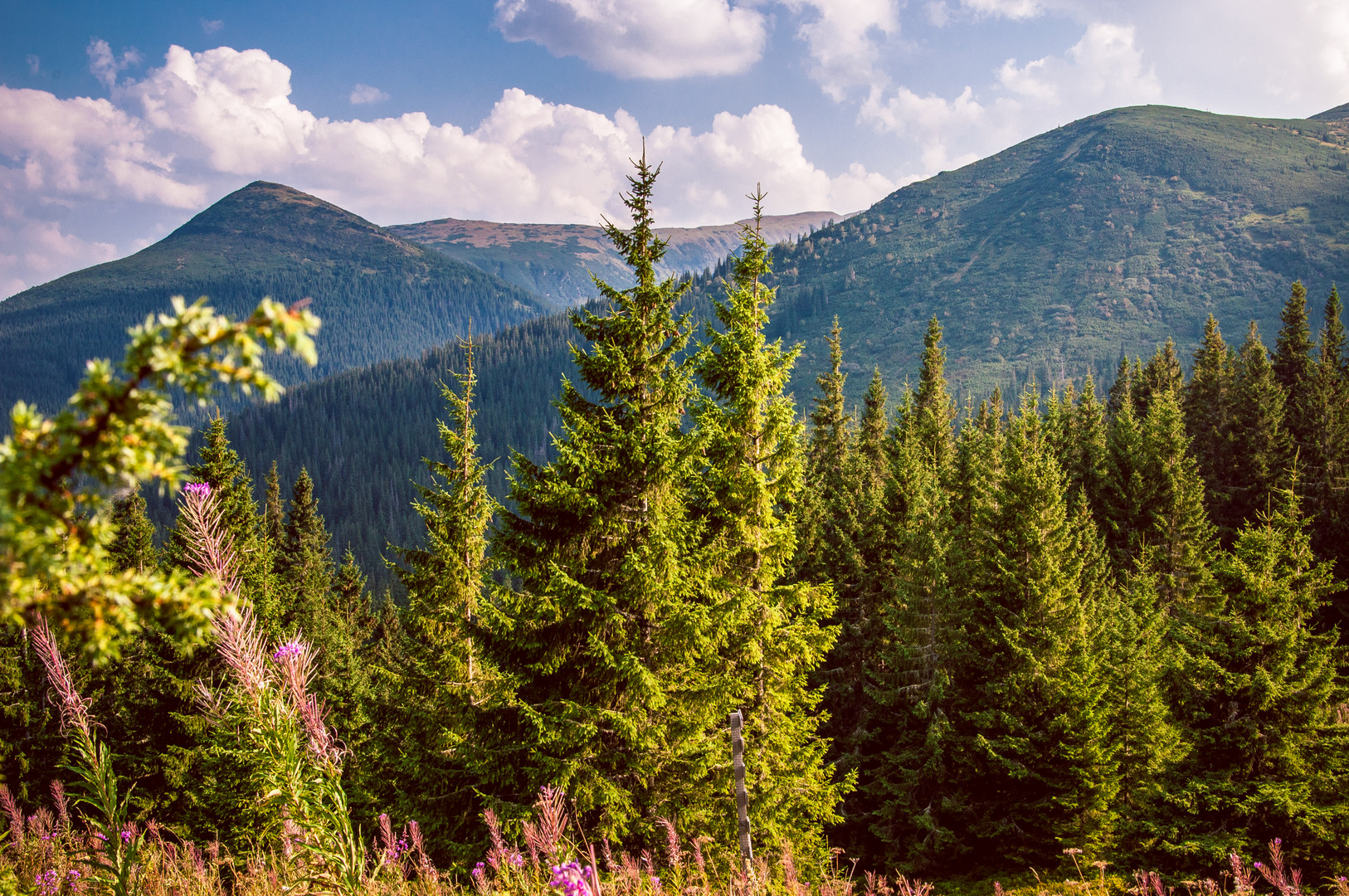 Ukrainian Carpathians