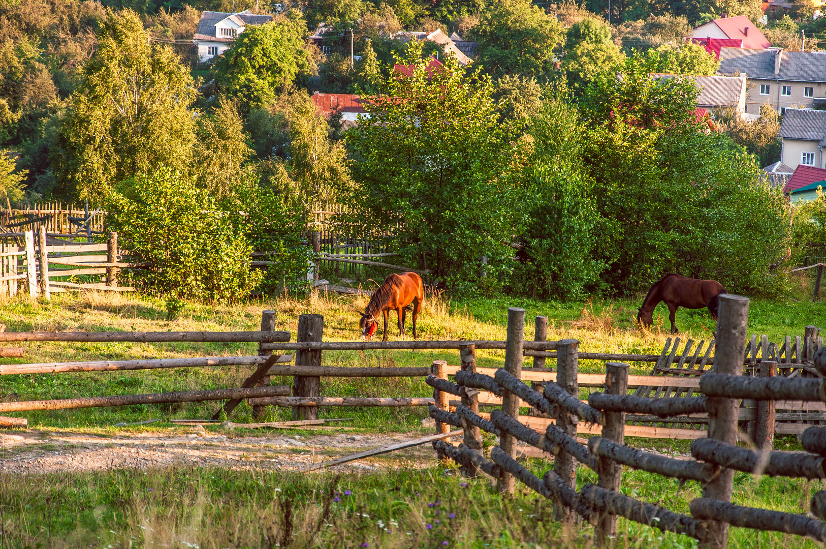 Ukrainian Carpathians