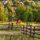 Ukrainian Carpathians