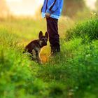 Ukrainian Golden Hour with Shepherd puppy