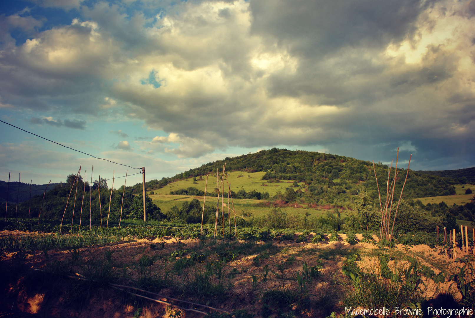 Ukrainian Skies