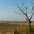 Ukrainische Landschaft nach der Erntezeit