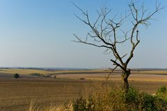 Ukrainische Landschaft nach der Erntezeit