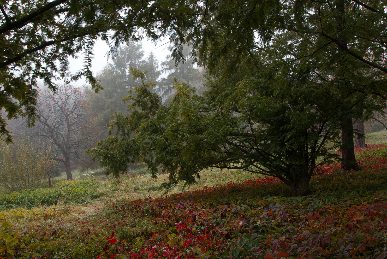 Ukrainischer Herbst.