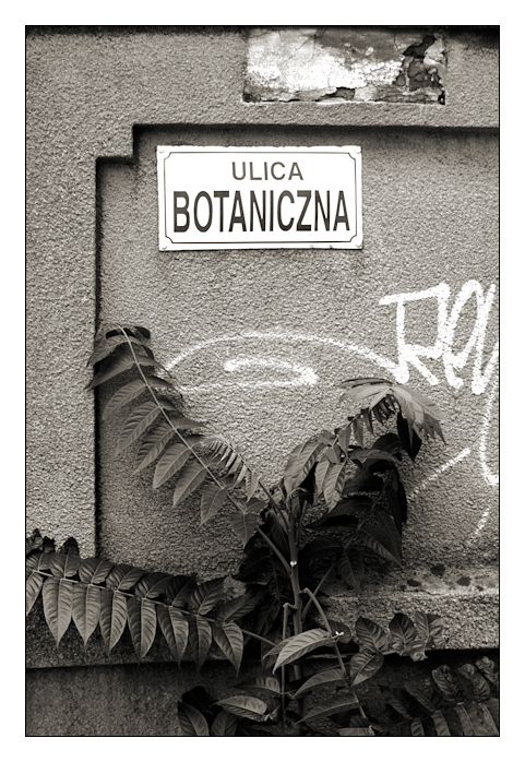 ul. Botaniczna