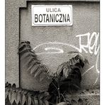 ul. Botaniczna