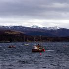 Ullapool