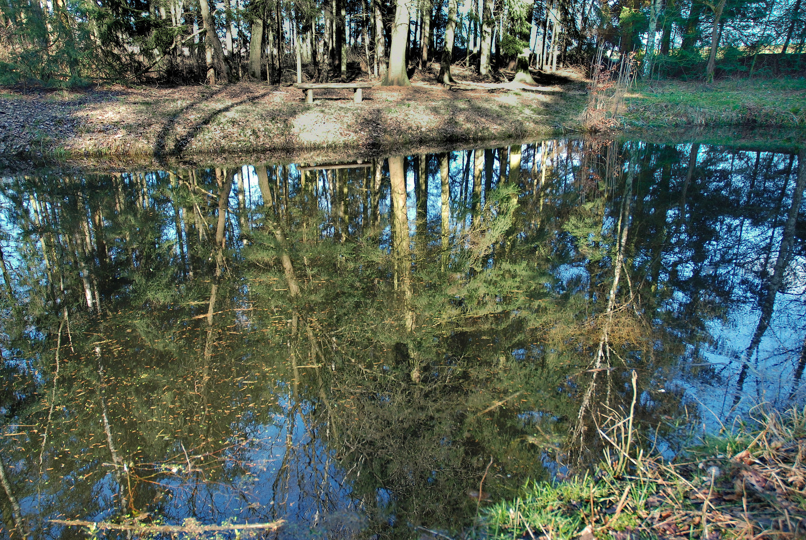 Ulli's Teich am Sonntagmorgen