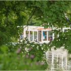 Ulm 07/2021 - Friedrichsau - Donau - "Ulmer Spatz with Passengers"