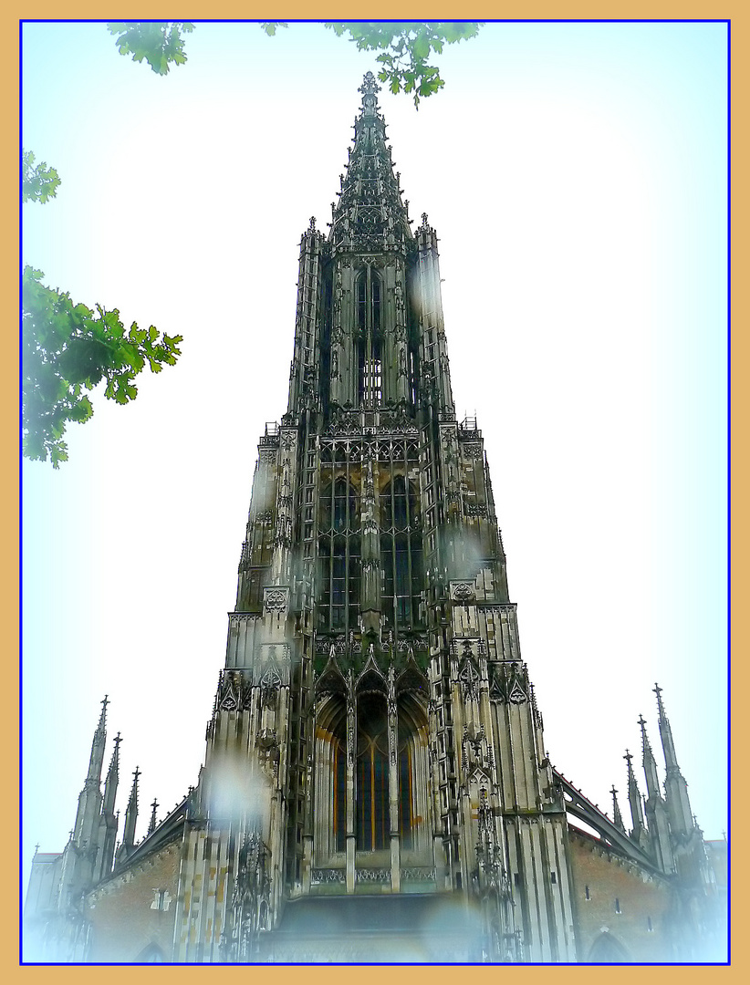 ULM - 4 -