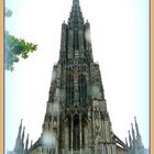 ULM - 4 -