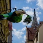 Ulm - "beim Kolibri" (2)