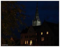 Ulm - Blick vom Donauufer zum Münster