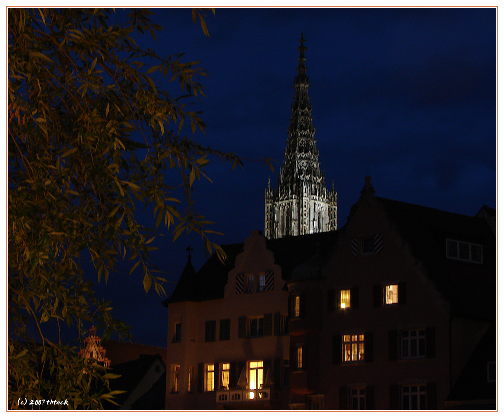 Ulm - Blick vom Donauufer zum Münster, V2