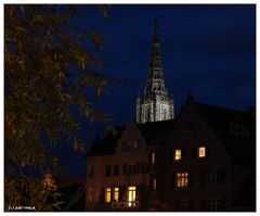 Ulm - Blick vom Donauufer zum Münster, V2