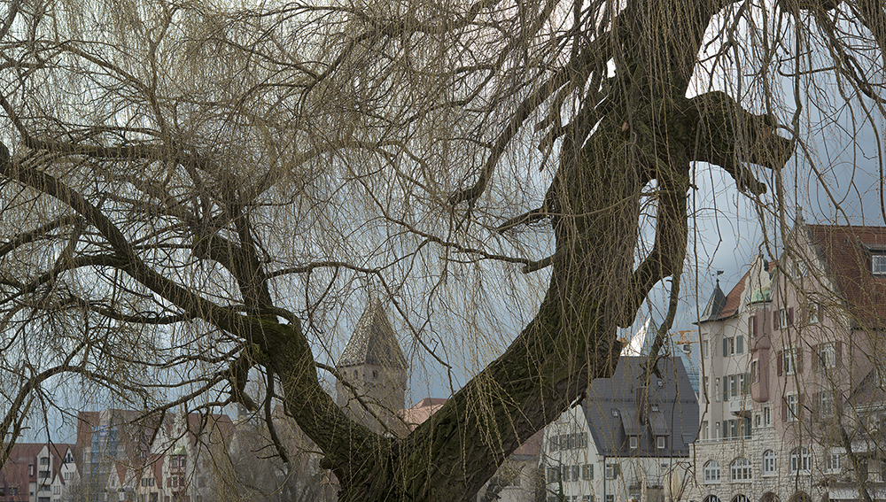 Ulm - "der Frühling kommt"