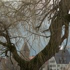 Ulm - "der Frühling kommt"