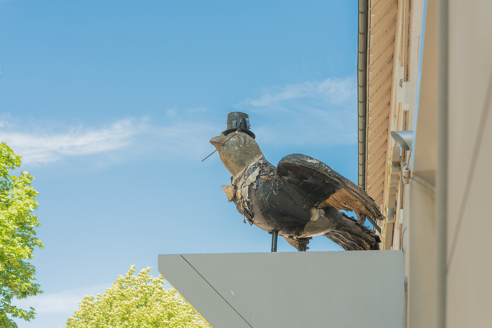 Ulm - Der Spatz lässt grüßen!