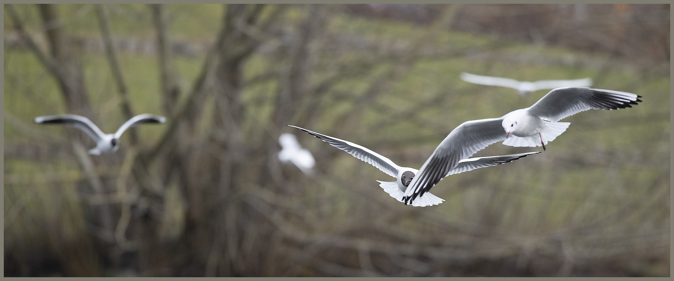 Ulm / Donau / "Anflug"