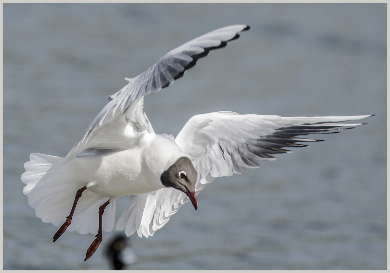 Ulm / Donau / "Anflug"