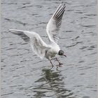 Ulm / Donau / "Bodenkontakt"