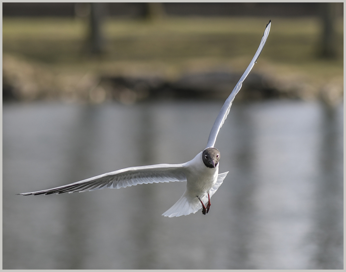 Ulm / Donau / dancing in the air"