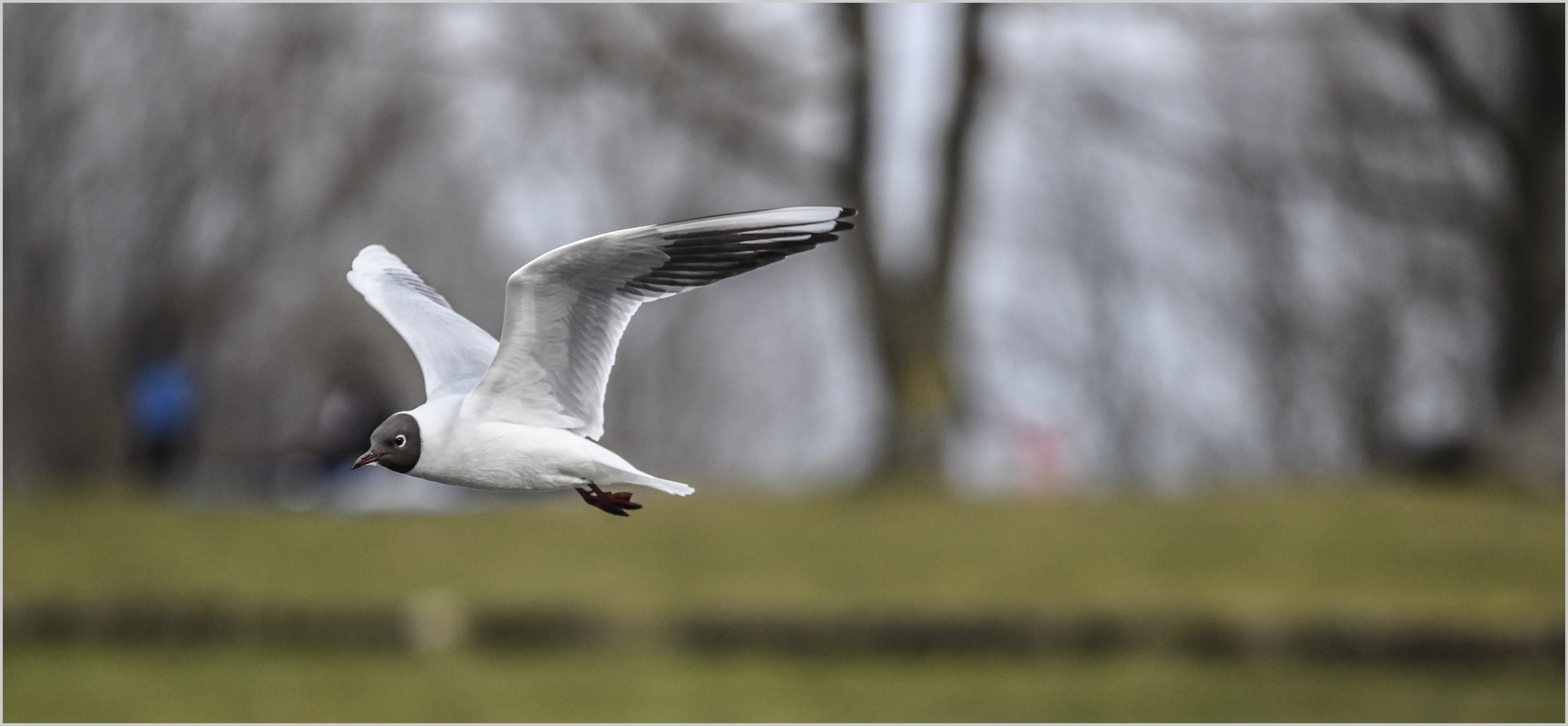 Ulm / Donau / "Vorbeiflug"