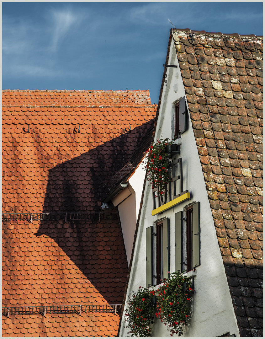 Ulm / Fischerviertel / "schiefes Haus" / Licht und Farbe