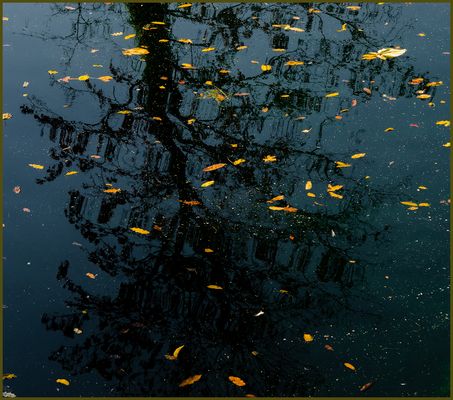 Ulm - Friedrichsau 10/2021 - "stiller Abschied"