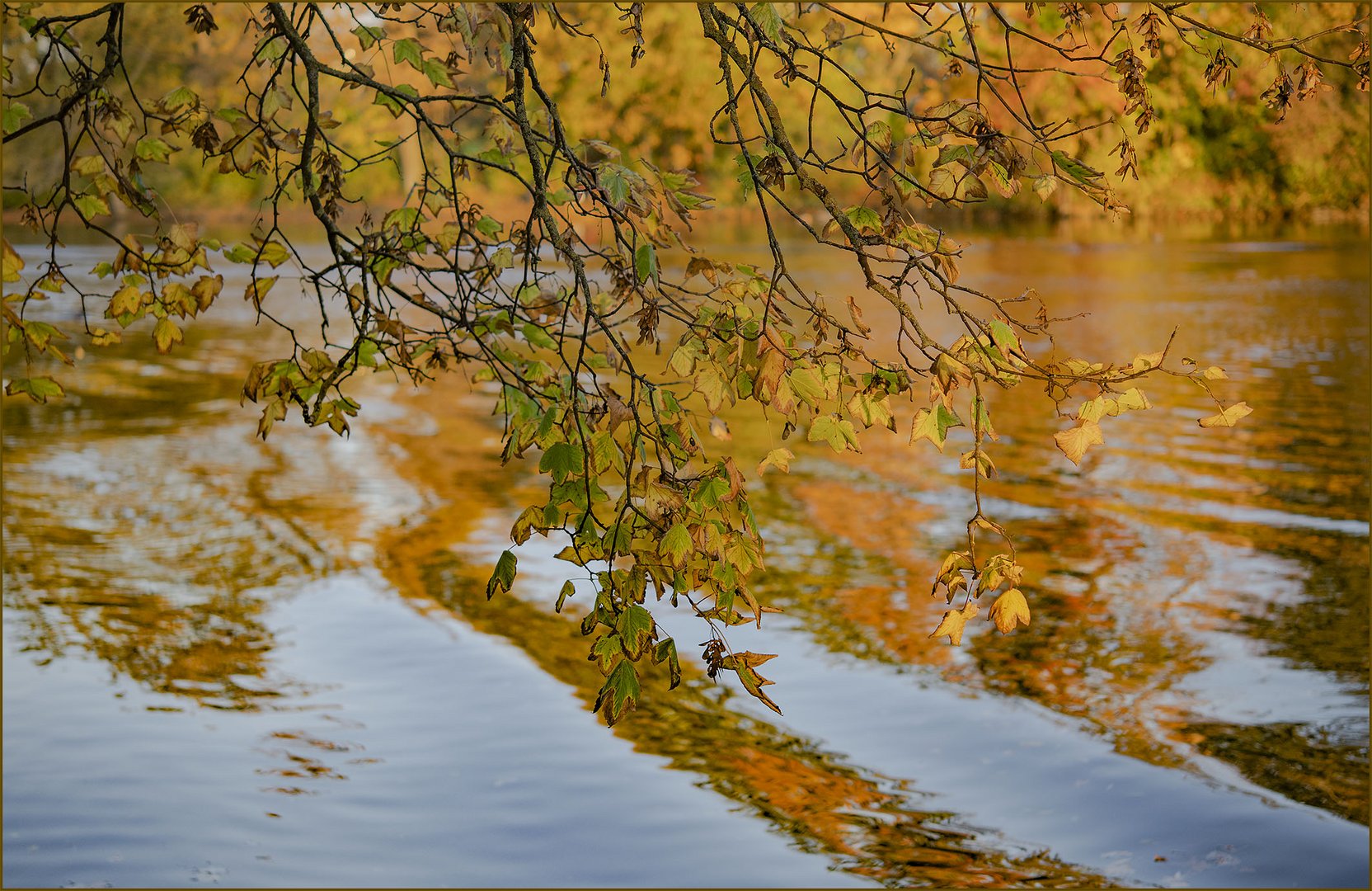 Ulm - Friedrichsau - Donau - "Wasser, Licht & Farbe"