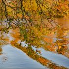 Ulm - Friedrichsau - Donau - "Wasser, Licht & Farbe"