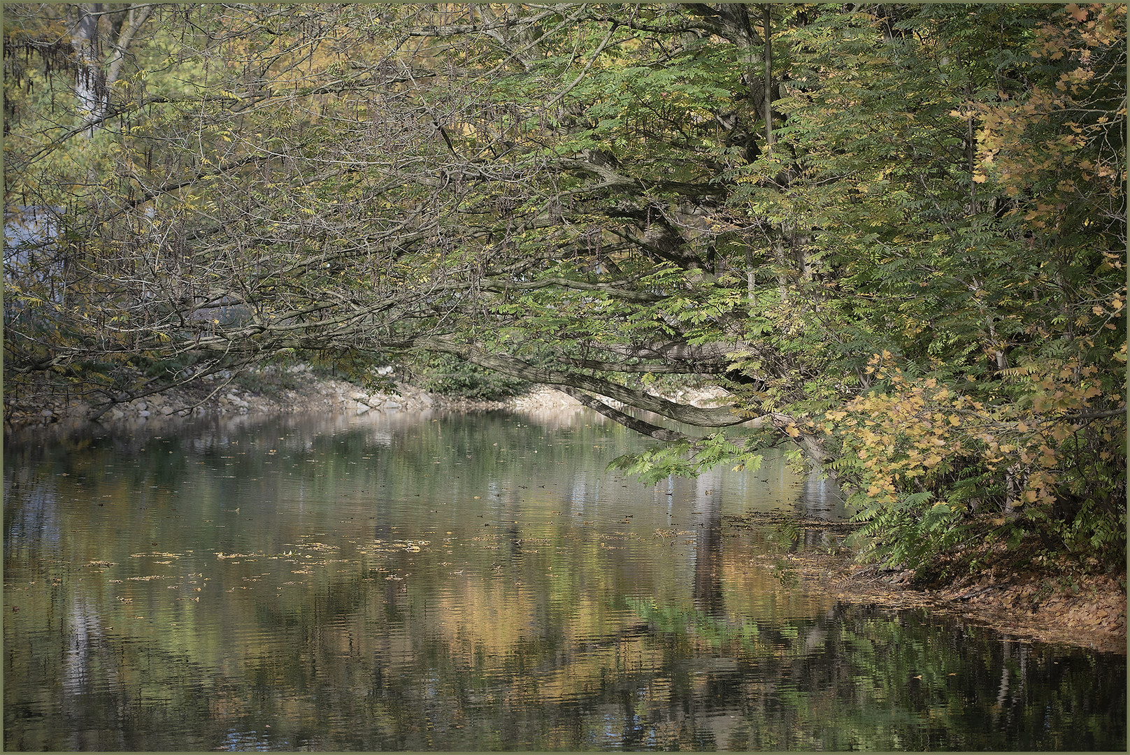 Ulm - Friedrichsau - "Farbenausklang"