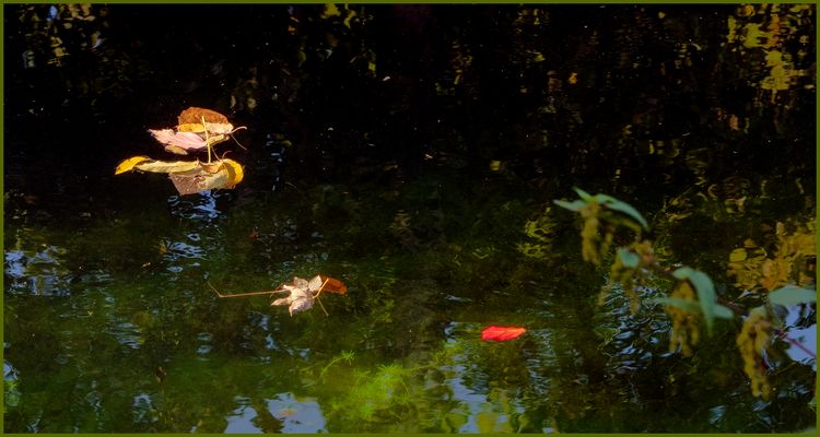 Ulm - Friedrichsau - Mittlerer Ausee - "Poesie eines Herbstmärchens"