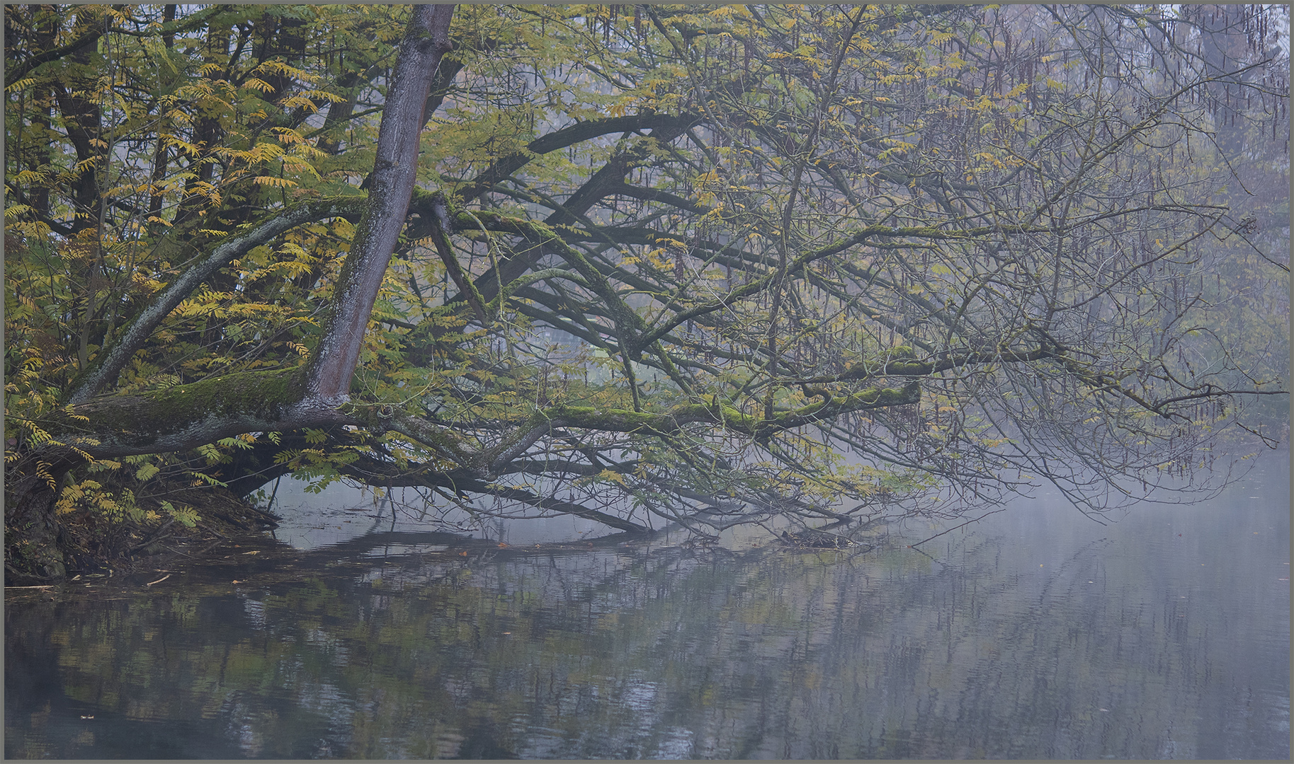 Ulm - Friedrichsau - "Stille"